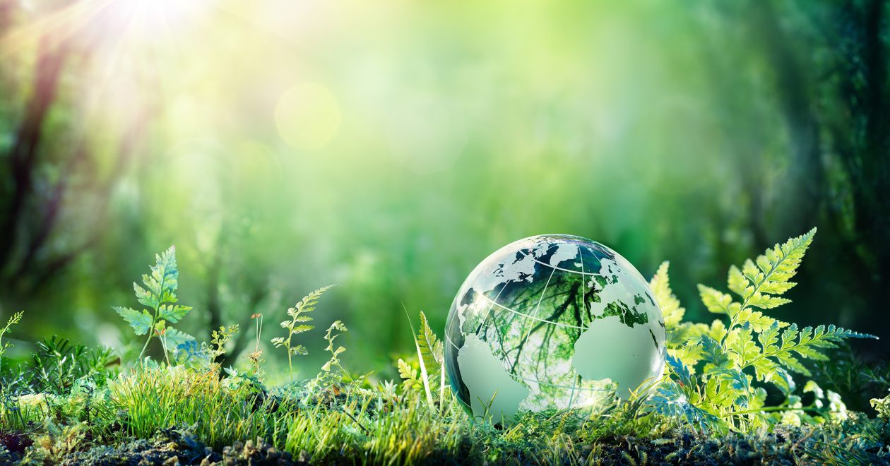 formazione efg e mantenimento della certificazione efpa. Natura. Mondo.