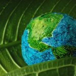 foto da stock di un mondo verde e azzurro abbracciato da una foglia