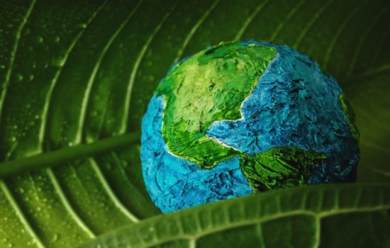foto da stock di un mondo verde e azzurro abbracciato da una foglia