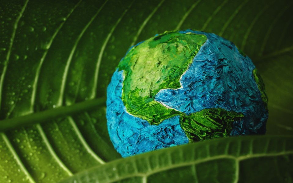 foto da stock di un mondo verde e azzurro abbracciato da una foglia